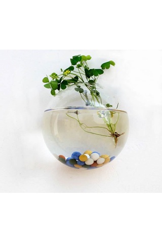 Lemestar Duvar Takıklı Yarıçaplı Cam Süs Vazo - Su Bitkileri İçin Isı Dayanıklı Borosilikat Cam Dekoratif Ev Aletleri