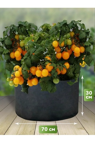 Umnyj Sad Bitkiler Ve Fideler İçin Tekstil Yatağı 115 Litre 192225364