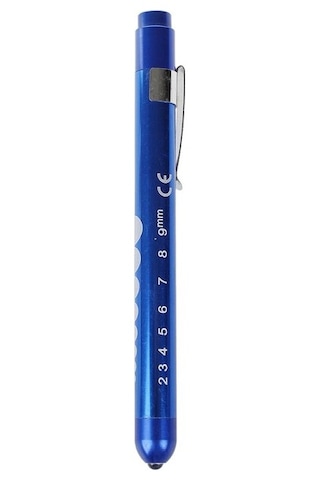 Willowhaven El Feneri Ampul Metal Led Yedek Ampul Açık Yüksek Parlak Yürüyüş Kamp Balıkçılık 6-24 V P13.5 Altın