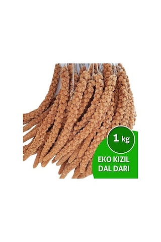 Eko Organik Kızıl Dal Darı Muhabbet Kuşu Yemi 1 KG