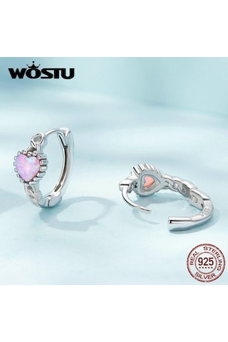 Wostu Otantik 925 Ayar Gümüş Narin Güzel Renkli Aşk Küpe Kadınlar Takı Hediye İçin Diğer