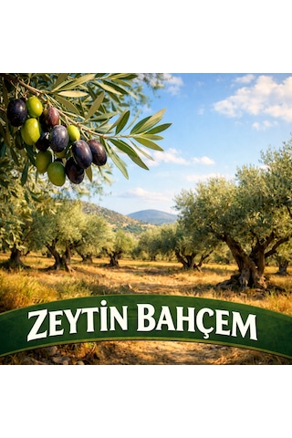 Gold Ayvacık Soğuk Sıkım Sızma 4 5l Zeytinyağı