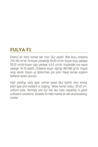 AGRodal Tarım Fulya F1 Hibrit Tatlı Mısır Tohumu 10 GR Bardakta Mısır Tohumu