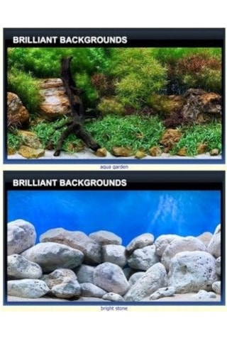 Sea View Aqua Garden/Bright Stone 45 10CM