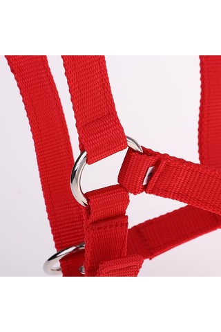 Homyl Ayarlanabilir Naylon Dokuma Binicilik Batı At Kırmızı-m Kırmızı M