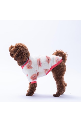 Fluffy Face Ayı Desenli Sweat Kedi Köpek Sweati Kedi Köpek Kıyafeti Köpek Peluşu Sıcak Tutan Sweat