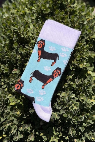 Lousocks Unisex Sosis Köpek Desenli Turkuaz Soket Çorap Lousocks Unisex Sosis Köpek Desenli Turkuaz Soket Çorap