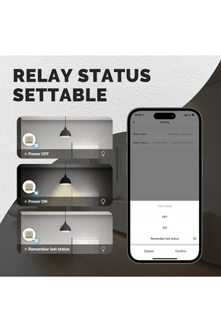 Pazly Akıllı Wifi Anahtar Modülü - Google Asistan, Mini, Zamanlayıcı, Uzaktan Kontrol, Dıy Uygulama Uyumlu Diğer