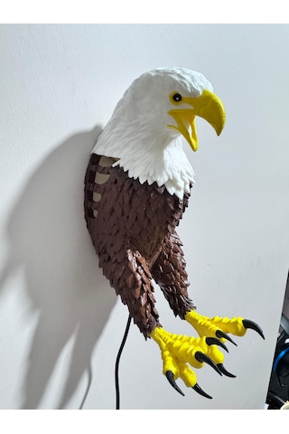 Kablolu Realistik Kartal Modelli Duvar Apliği Dekoratif Aydınl Kahverengi
