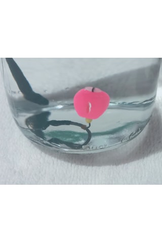 Gezer Kurşunlu Leadcore'lu Sazan Rig Takımı Tek Pembe Esp Mısırlı