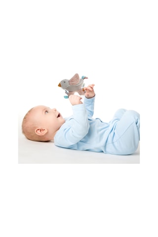 Babyjem Çıngırak Lori Pudra