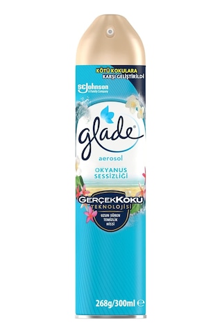 Aerosol Okyanus Sessizliği Oda Kokusu 300 Ml 1 X 300 Ml Abundance Prosperity