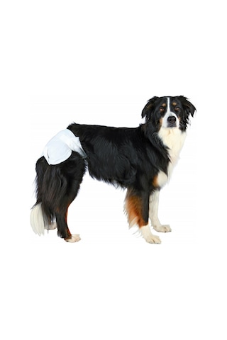 Trixie Köpek Pedi S - M 28 - 40 CM 12'li