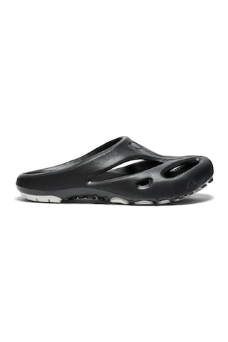 Keen 1018206 Shanti Black/dawn Blue Erkek Terlik Siyah