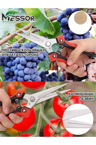 Messor Bahçe Makasları Çok Amaçlı Set 479350008