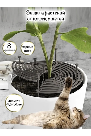 Royal Market Bitki Koruma 109206595