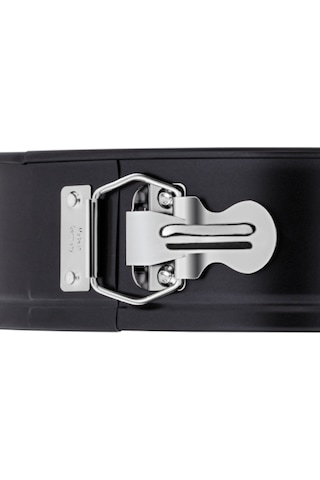 Kaiser Crystal Cam Tabanlı Kelepçeli Kek Kalıbı 26 Cm