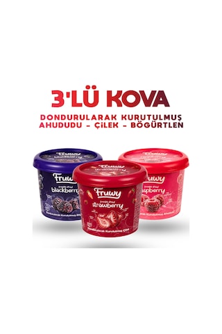 Freeze Dried Çilek, Böğürtlen Ahududu Kova 3'lü Paket Diğer Freeze Dried Çilek, Böğürtlen Ahududu Kova 3'lü Paket Diğer