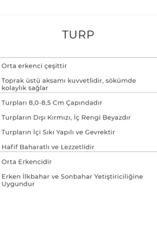 Turp Tohumu 10 Gr Kırmızı Iri