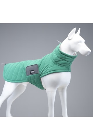 Air Puff Green Apple Köpek Montu