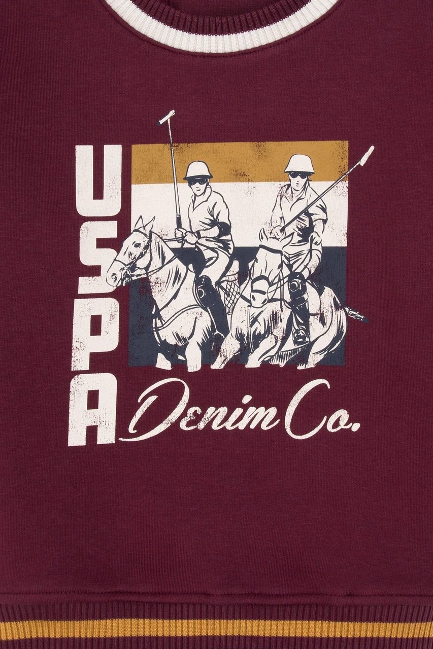 U.s. Polo Assn. Erkek Çocuk Plum Sweatshirt 50308572-vr177 New Plum