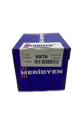 Meridyen Sunta Vidası 6x70 100 Adet Diğer