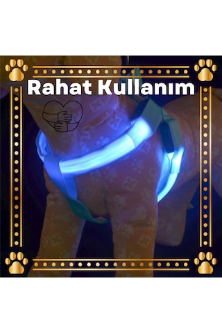 DailyLink Ayarlanabilir Reflektörlü Pet Köpek Göğüs Tasması Kemer Çok Renkli