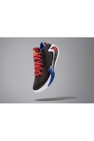 Nike Zoom Freak 1 "employee Of The Month Basketbol Çok Renkli