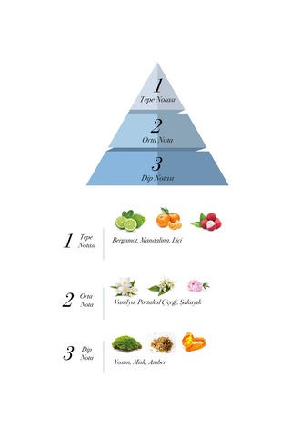 Prova Narcos Erkek Parfüm EDP 120 ML