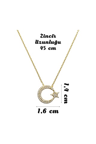 925 Ayar Gümüş Zirkon Taşlı Ay Yıldız Kadın Kolye Gold Silver Renk Seçenekli Hediyelik Takı Altın - 911681706 Altın