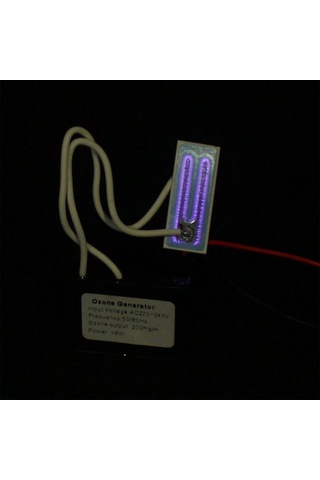 Gatherco Ev Ozon Jeneratörü Hava Temizleyici Ozonizer Çıkış Yoğunluğu 200mg/h Hava Temizleyici Ozon Jeneratörü Ac110v 200mg