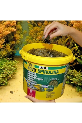 Jbl Pro Novo Spirulina Flakes M 5,5lt 950gr.