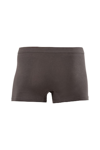 Anıt Erkek Pamuklu Boxer 1271 - 3 Adet 001