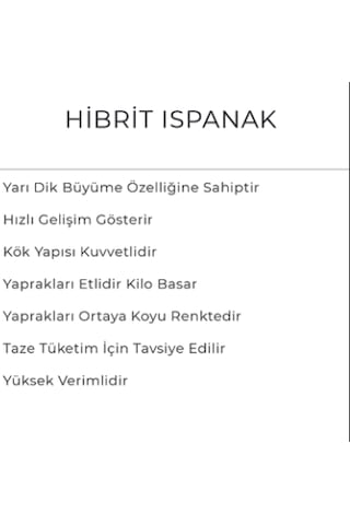 Ispanak Tohumu Ulak 10 Kg