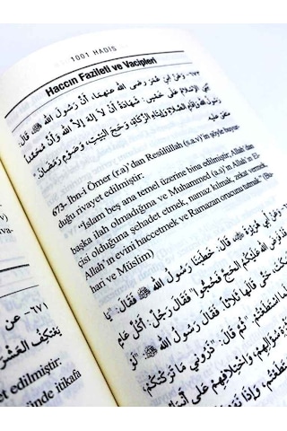 Kütübi Sitteden 1001 Hadis Roman Boy