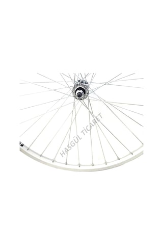 Hsgl Bisiklet 20 Jant Alüminyum Arka Jant