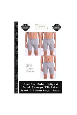 Astrid T Özel Seri Baba Hediyesi Esnek Çamaşır 3'lü Paket Erkek Gri Uzun Paçalı Boxer