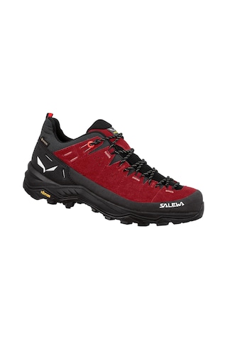 Salewa Alp Trainer 2 Gtx Kadın Ayakkabı 001