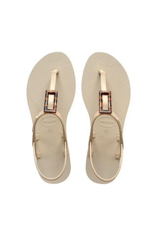 Havaianas You Paraty Buckle Turtle Bej Kadın Terlik 4148917-0121-2185 Bej