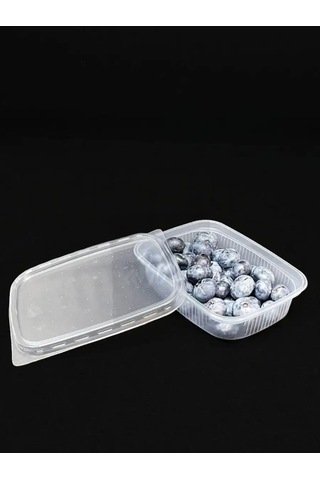 Ecopakplast Kapağı Plastik Tek Kullanımlık Konteynerler 125 Ml 15 Parça 126039736 Beyaz