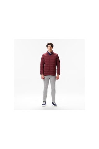 Nautica Regular Fit Mont Erkek Bordo Ceket 033 J57041t Bordo
