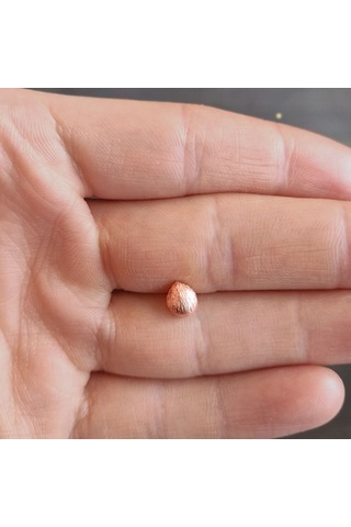 Coco Major Tragus