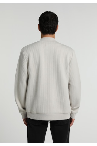 Colin's Colins Slim Fit Fermuarlı Erkek Taş Ceket Cl1081467 Q1.v2 Stn