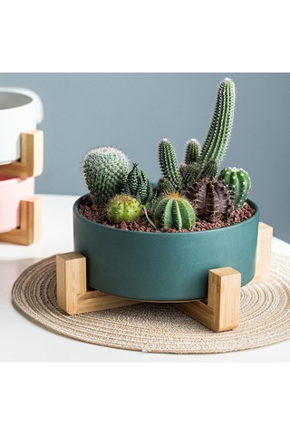 Neevoyu Yeşil Mini Seramik Bitki Kasesi, Bambu Ayağa Sahip, Sualtı Ve Sukulent İçin, Deliksiz Taban, Ev Dekoru