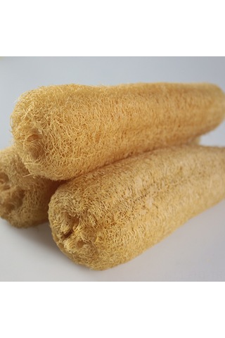 Hangfox Ev Kullanıma Ideal 30-39 Cm 3 Adet Doğal Patates Kabağı, Fırça Ve Yıkama Bezi İçin Dayanıklı Ve Pratik Kullanım Haki