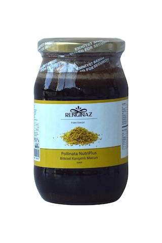 Pollinata Nutriplus Bitkisel Karışımlı Macun 420 Gr