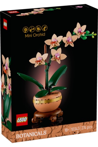LEGO® Botanicals Mini Orkide 10343 – Yetiskinler için Terakota Saksi ve Kaide Içeren Dekoratif Çiçek Yapim Seti (274 Parça)