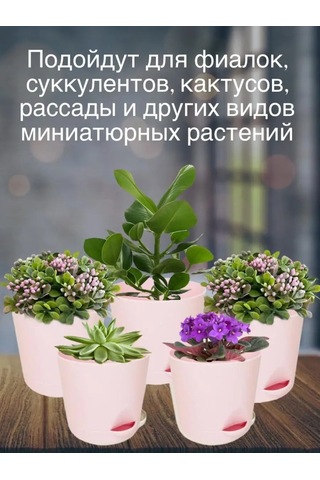 Interm Meyan Çiçeği Saksısı Küçük Plastik Saksı Seti 104978040