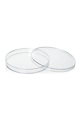 Plastik Petri Kabı Gama Steril 150 Mm 10 Ad/pk