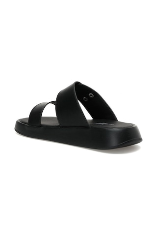 U.S. Polo Assn. Popen 2Fx Siyah Kadın Terlik-Siyah (553780357) Siyah